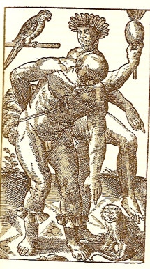 Jean de Lery, Histoire d'un Voyage fait en la terre du Bresil