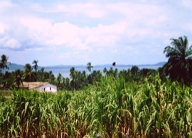 Santo Amaro da Purificação. Foto A.A.Bispo